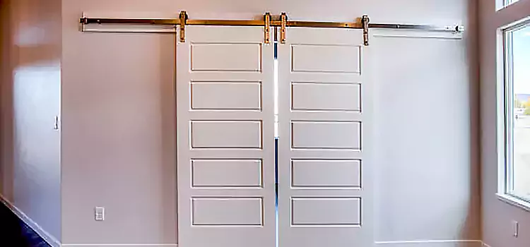 Glass Barn Door with Installation Hardware Kit New Smyrna Beach